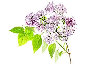 《守望先锋2》x《高达W》联动预告 太激情了！